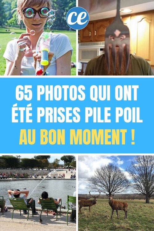 65 Photos Qui Ont Été Prises Pile Poil AU BON MOMENT.