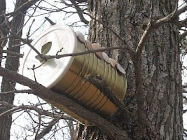 Grande boîte de conserve formant une maison pour oiseaux