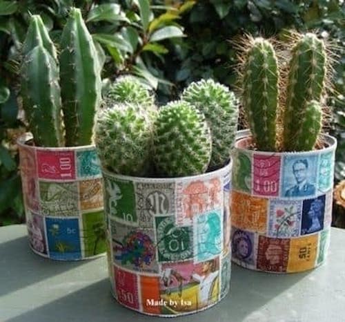 Boîtes de conserve recouvert de plusieurs timbres avec des minis cactus à l'intérieur