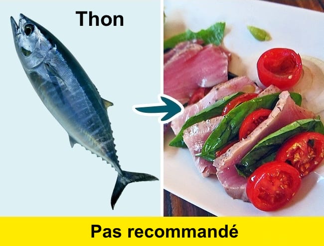 Éviter de manger du thon car c'est un poisson qui contient du mercure