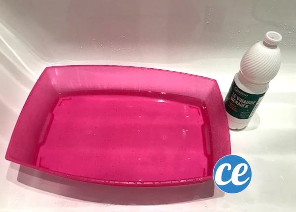 mettre 1 verre de vinaigre blanc dans l'eau de lavage de la litière du chat