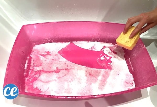 laver la litière avec bicarbonate et éponge