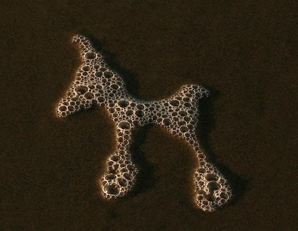 Plusieurs bulles dans le sable faisant une sorte de cheval