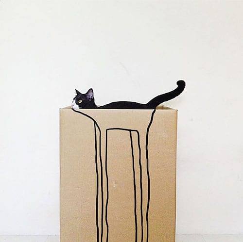 Chat noir à l'intérieur d'un carton dessiné