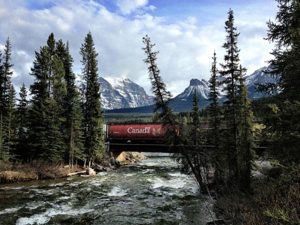 Train au milieu d'une forêt et des montagnes