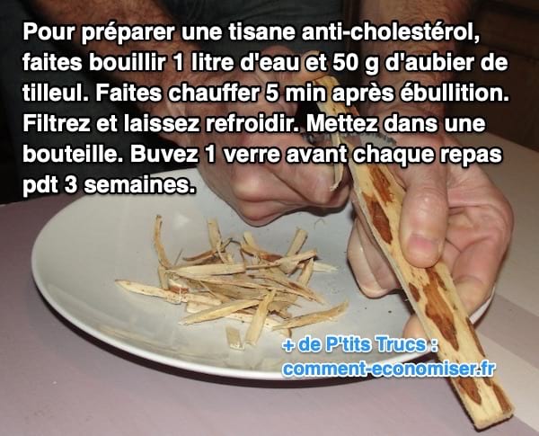 recette tisane aubier de tilleul pour réduire cholestérol