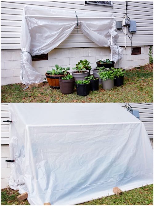 Une serre amovible diy en tuyaux PVC