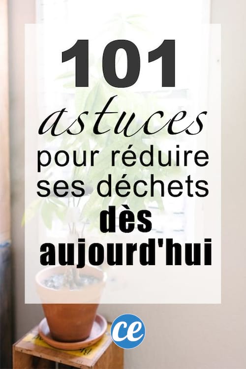 Découvrez 101 astuces vraiment simples pour limiter ses déchets