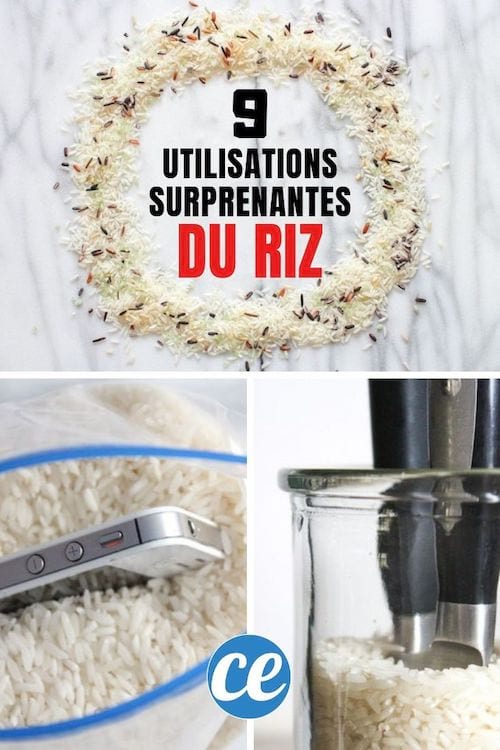 9 Utilisations Surprenantes DU RIZ Que Personnes Ne Connaît.