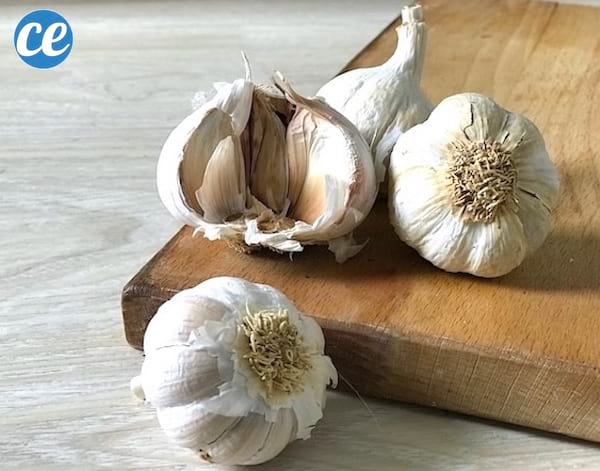 savoir bien choisir l'ail frais ou séché