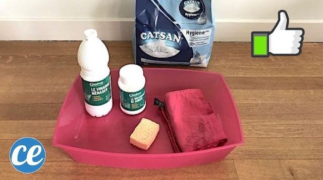 Litière toute propre qui a été désodorisée, désinfectée et nettoyée 