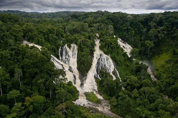 Grande forêt avec des énormes chutes d'eau 