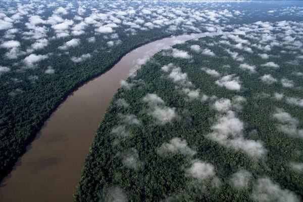 Forêt tropicale avec une grande rivière au milieu au Vénézuela