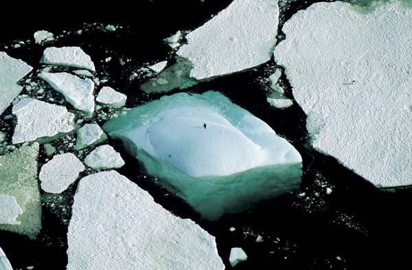 Glace fondue en Antarctique