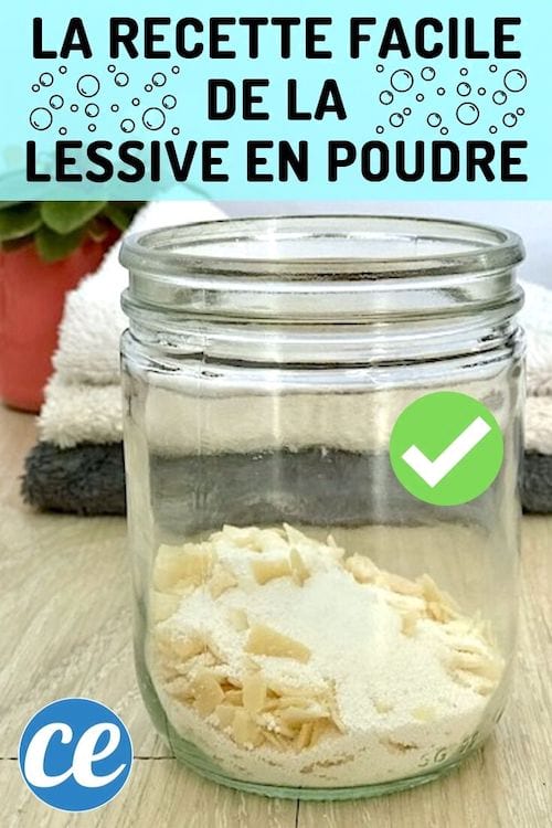 pot avec lessive en poudre maison