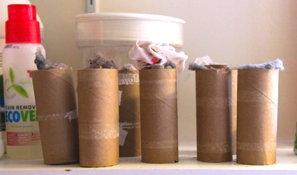 rouleau de papier toilette transformé en allume feu