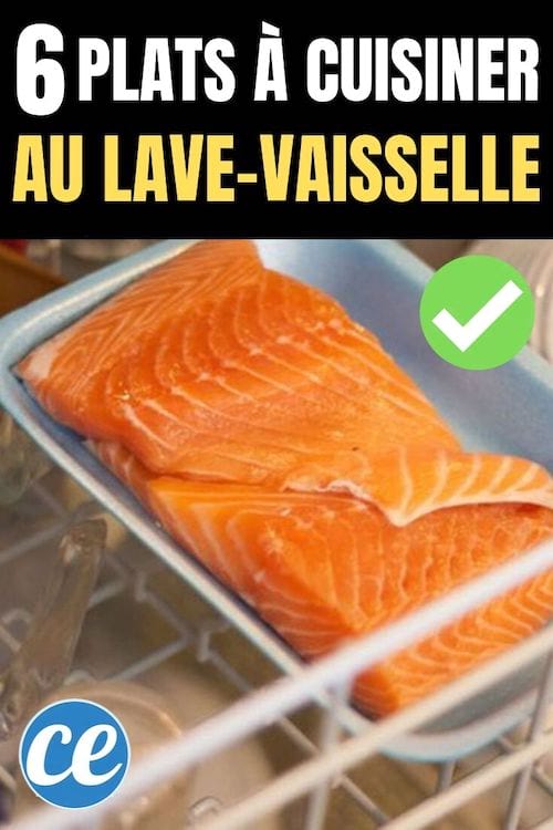 Voici comment faire cuire un délicieux saumon au lave-vaisselle. Facile, rapide et économique !