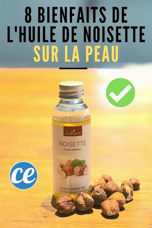 Un flacon d'huile de noisette bio posé sur la table en bois devant la fenêtre