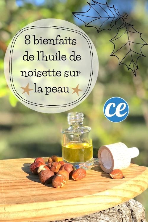 De l'huile de noisette posé sur un tronc d'arbre dans la nature