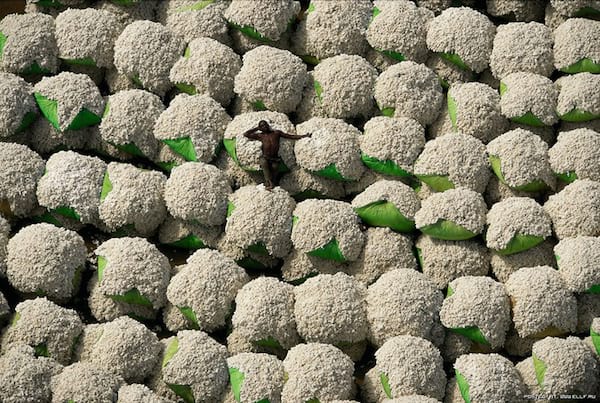 Photo prise du ciel de balles de coton blanc avec un ouvrier qui se repose