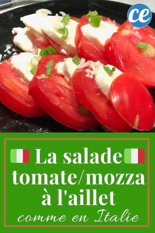 Légère et healthy : la délicieuse recette de la salade tomate/mozza à l'aillet