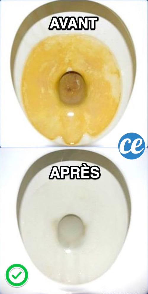 Avant : fond de la cuvette des WC jaunie. Après : toute propre sans traces