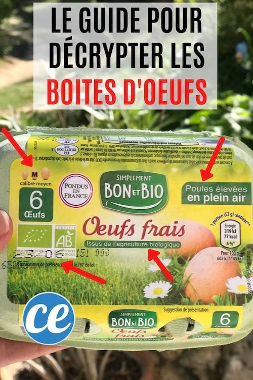 Une boite d'oeufs avec toutes les inscriptions légales pour choisir les oeufs en grande surface