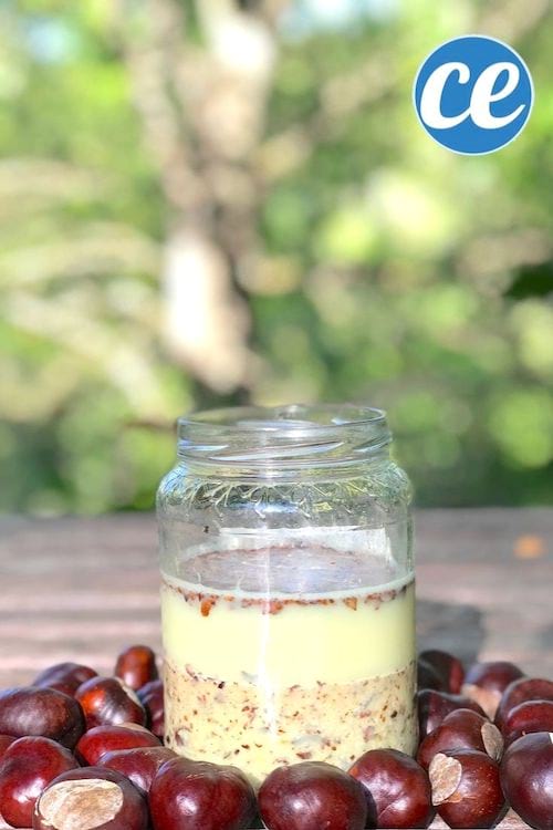 Des marrons broyés dans un bocal avec de l'eau pour faire de la lessive liquide maison