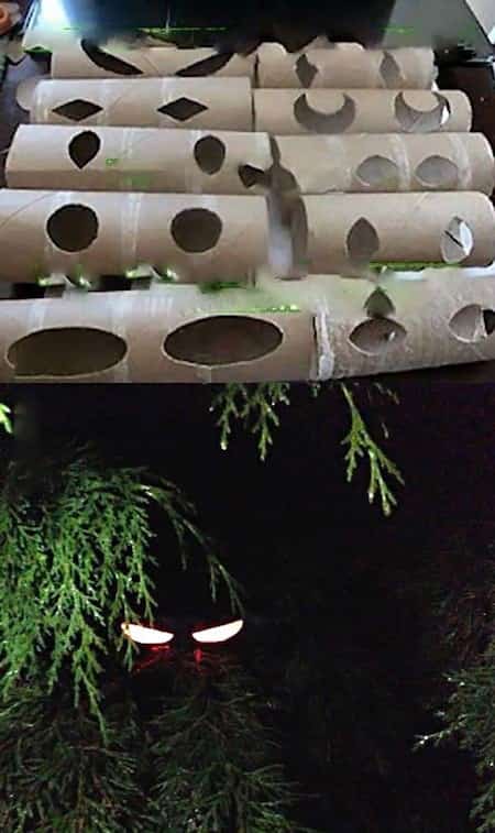 des yeux brillants la nuit