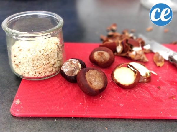 comment-preparer-du-shampoing-aux-marrons-d-inde