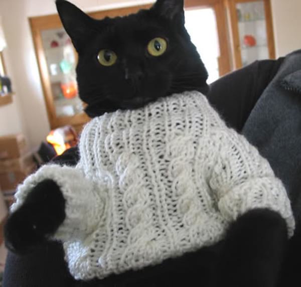 Pull blanc en laine fait pour chat noir