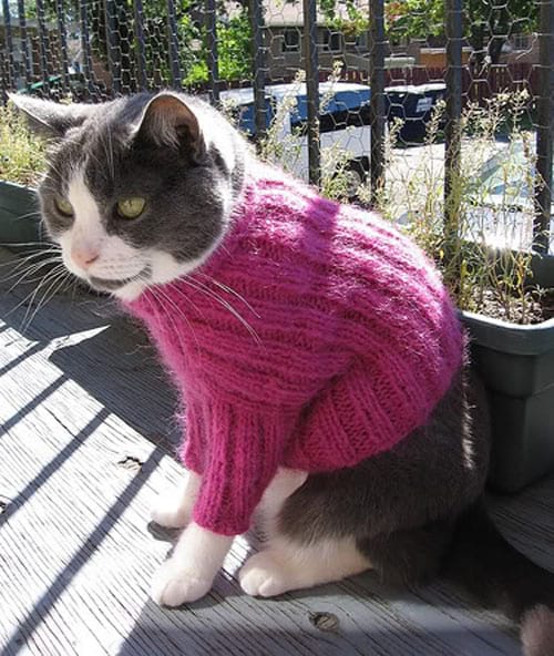 Pull en laine rose conçue pour chat