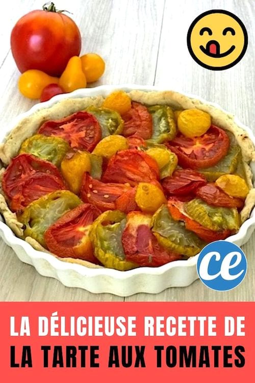 La recette facile et rapide de la tarte aux tomates et moutarde à l'ancienne