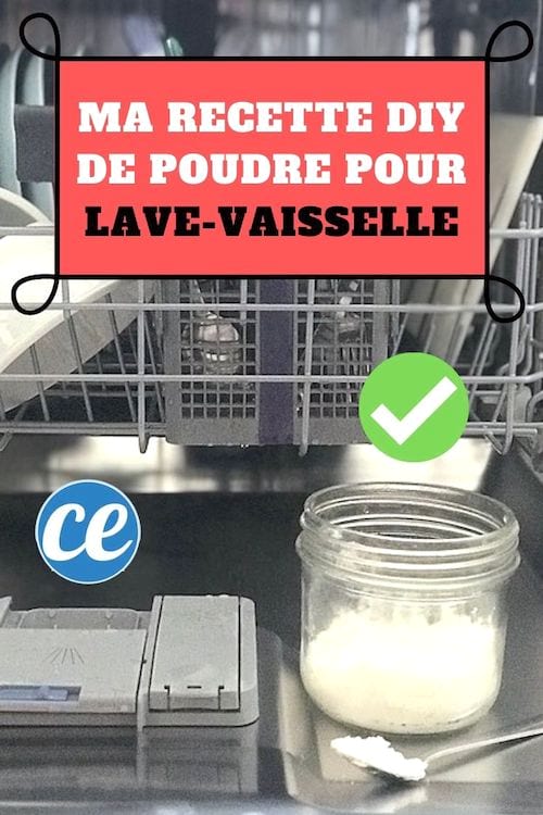 Poudre Pour LaveVaisselle Ma Recette Secrète Pour Une Vaisselle Éclatante.