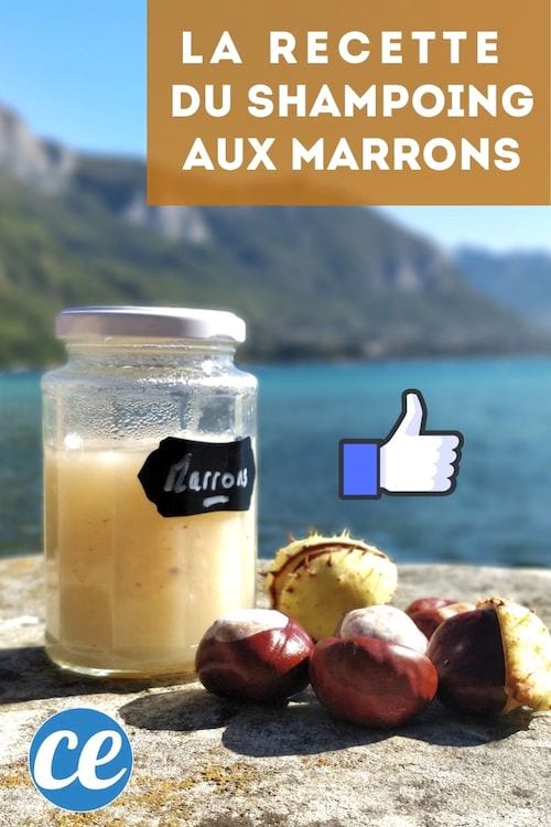 Bocal en verre avec du shampoing aux marrons fait maison devant lac et montagnes