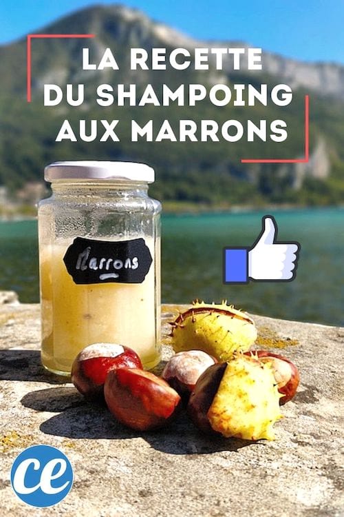 Bocal en verre avec du shampoing aux marrons fait maison devant des montagnes