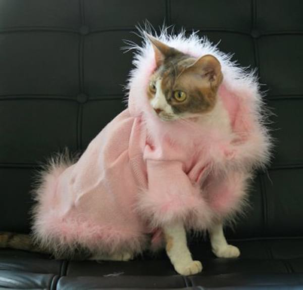 Tenue chaude en rose pour chat
