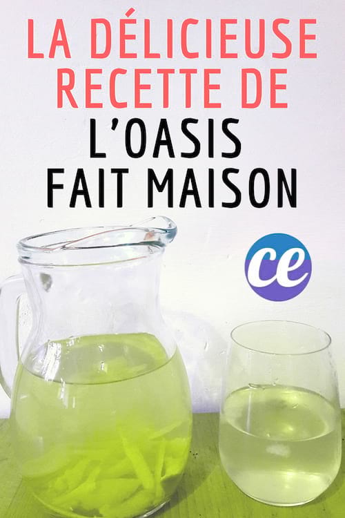 Recette de l'oasis fait maison à l'orange