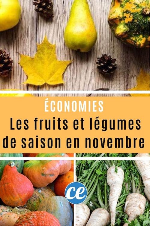 des fruits et légumes de saison de novembre : poires, panais; citrouilles et potimarrons.