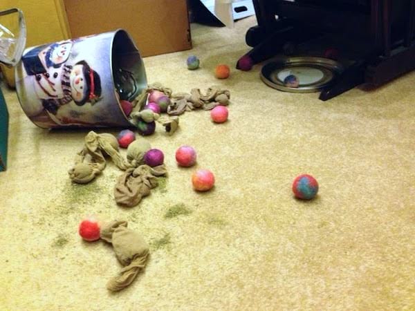 jouet pour chat avec une boule de collant