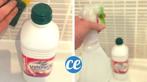 le vinaigre blanc nettoie la moisissure des murs dans la salle de bains et la douche