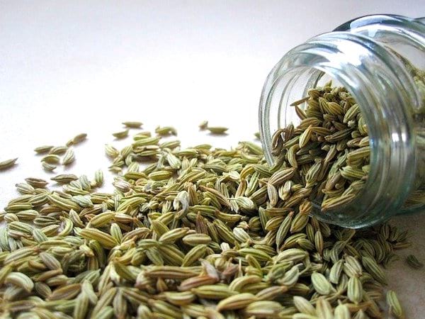 Des graines de fenouil dans un récipient en verre, sur fond blanc.