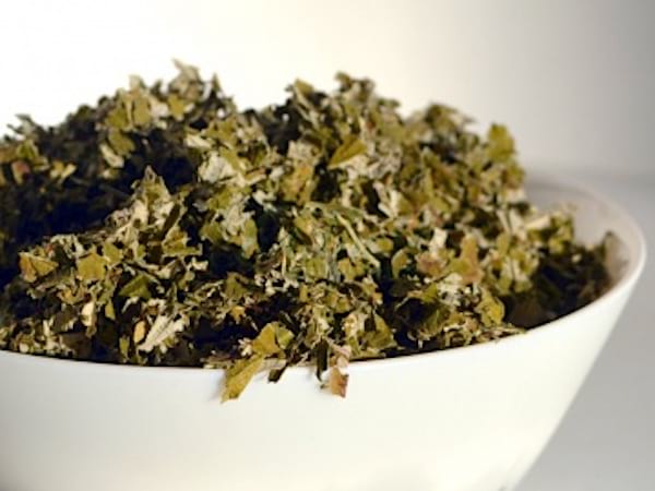 Des feuilles de framboisier dans un bol blanc, sur fond blanc.