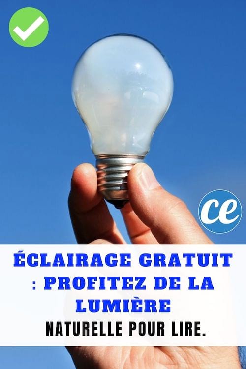 Une personne tenant une ampoule dans la main 