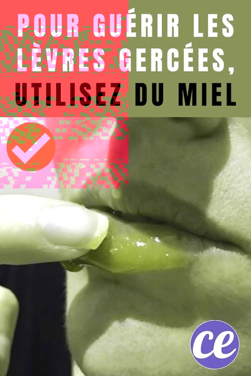 Utilisez du miel pour guérir les lèvres gercées facilement et rapidement