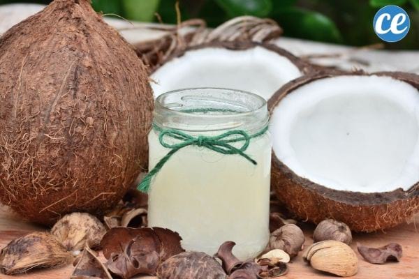 pot d'huile de coco avec des noix de coco entières