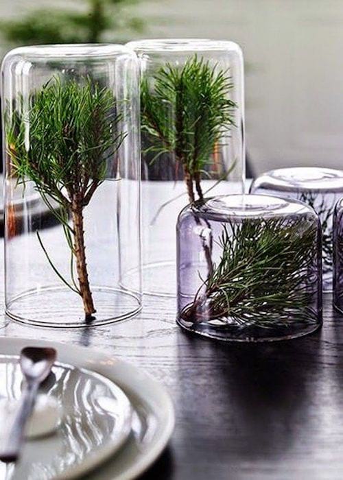 4 Verres avec des petites branches dedans sur la table en bois