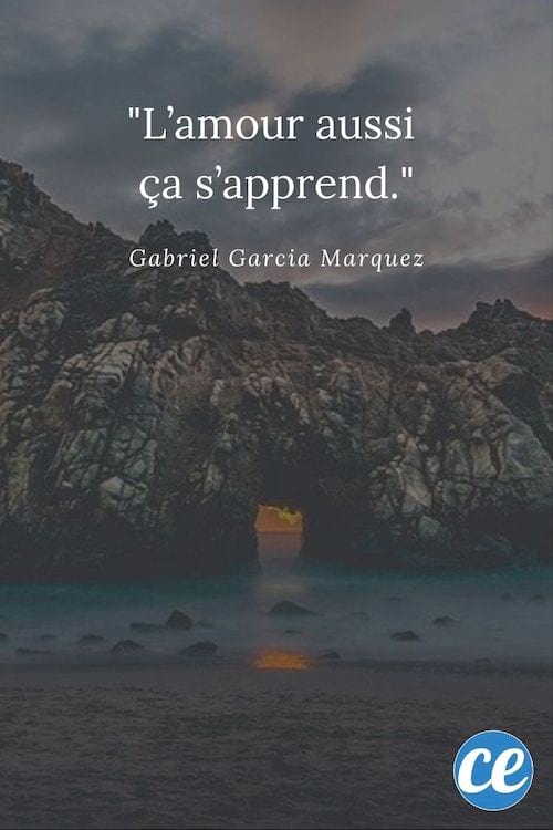 Citation : L'amour aussi ça s'apprend.