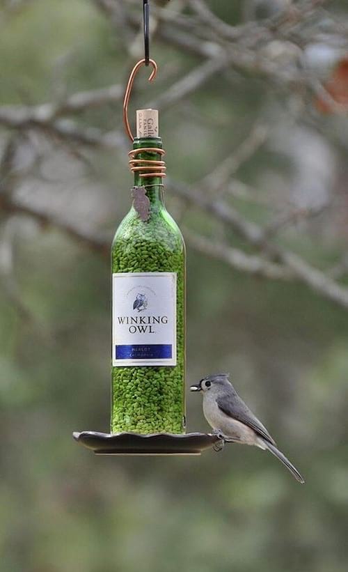 Bouteille de vin réutilisée comme mangeoire pour oiseaux