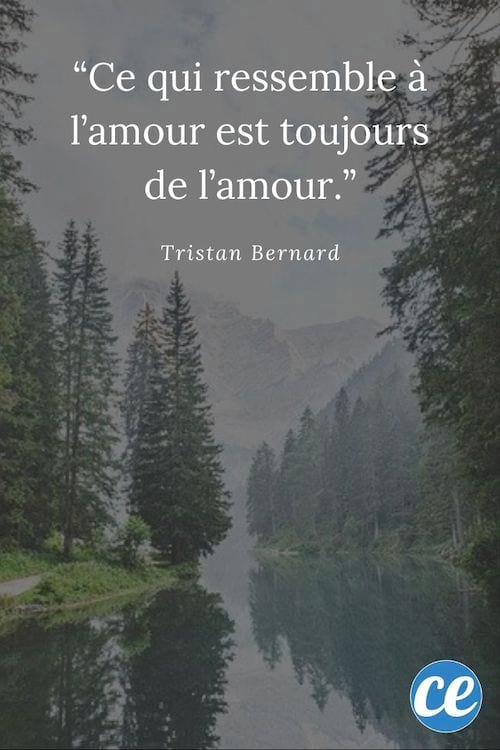 Citation : Ce qui ressemble à l’amour est toujours de l’amour.